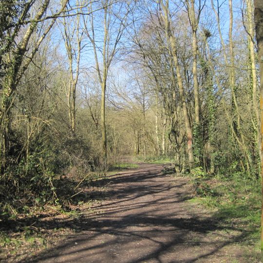 Crofton Wood