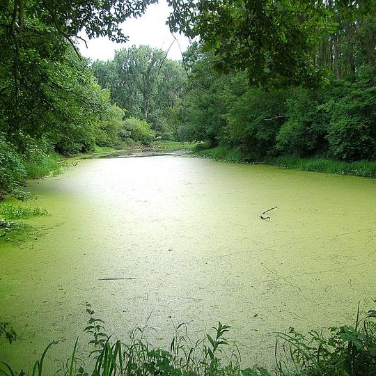 Rezerwat przyrody Wielka Kępa