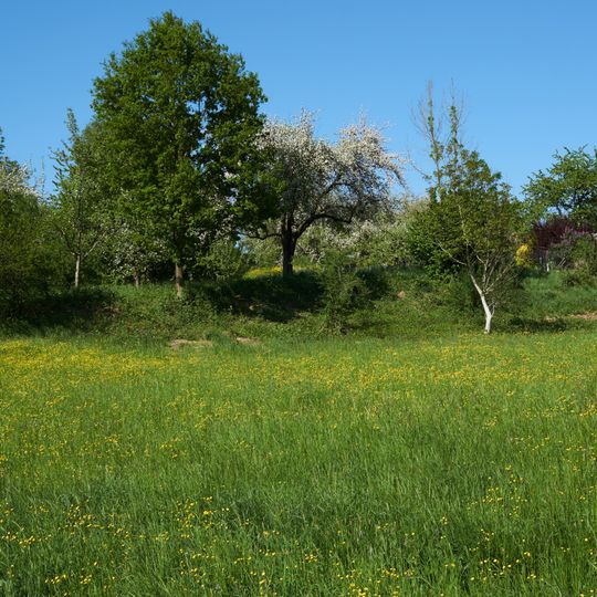 Wiesenhang im Zipfelbachtal