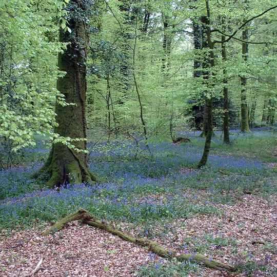 Arboretum de l'Étoile des Andaines