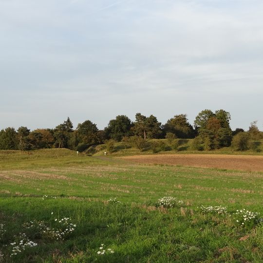 Naturschutzgebiet Hoher Stein bei Fernwald