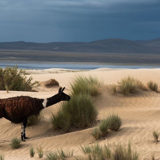 Reserva biológica de la Cordillera de Sama