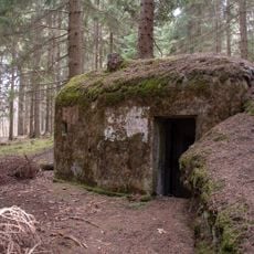 H-42/29/D2 light pillbox