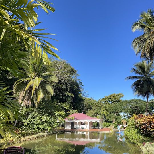 Patogeoire de Valombreuse