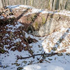 Burgruine Adlerstein