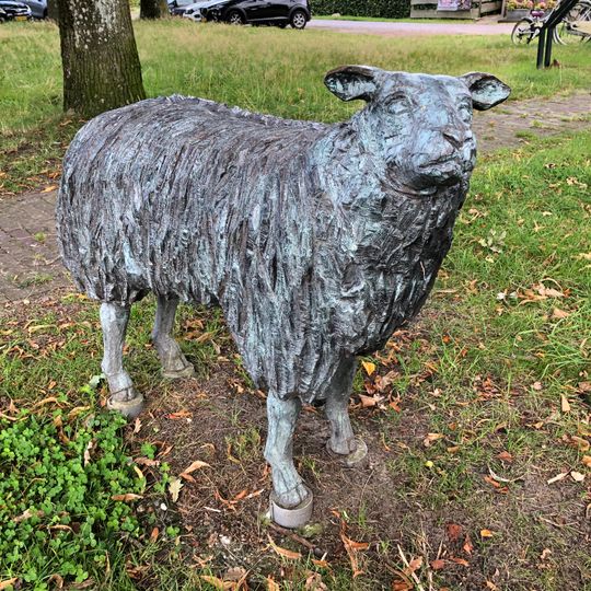 Herdershond en schapen