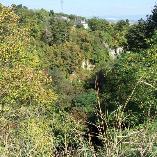 Haluzická tiesňava