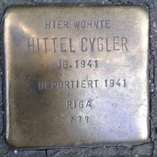 Hittel Cygler