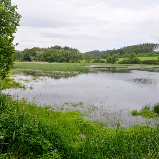 EVL Maňovický rybník
