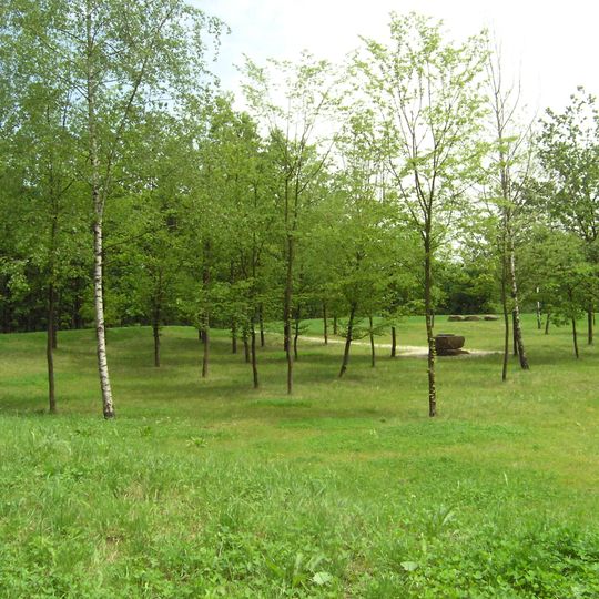 Kleinkastell Freimühle