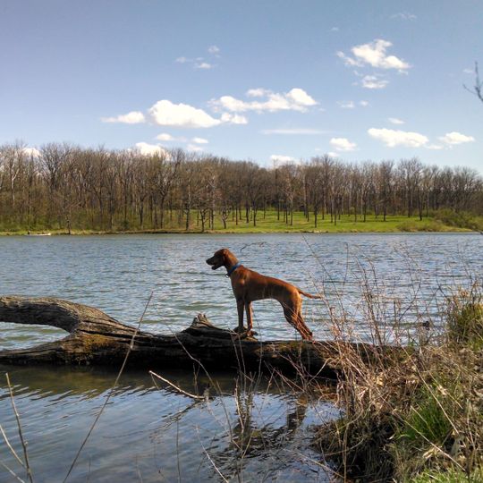 Johnson-Sauk Trail State Recreation Area