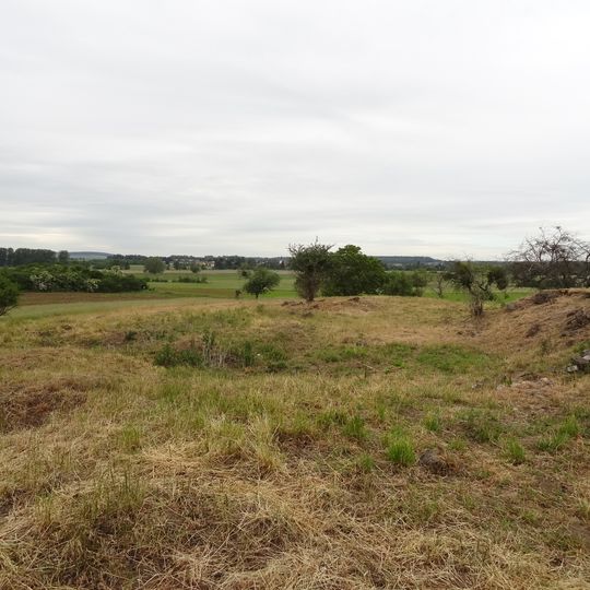 Naturschutzgebiet Im Tiefen Ried bei Steinheim