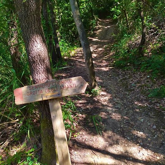 Bosco del Cugnolo