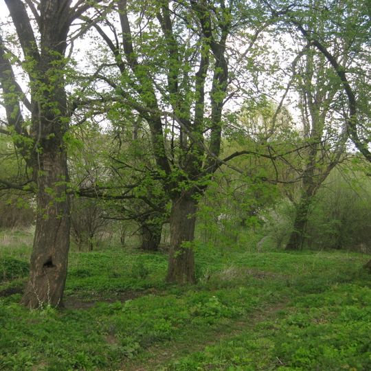 Скаржинецький парк