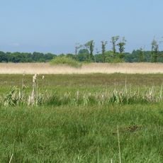 Fleinsee/Altluneberger See