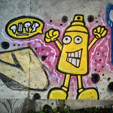 Dupy
