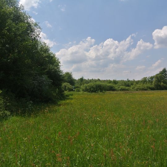 Wollerscheider und Hoscheider Venn