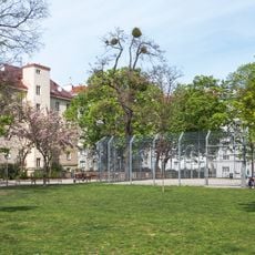 Dr.-Karl-Landsteiner-Park
