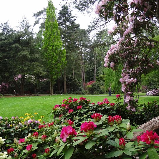 Rhododendronpark Hobbie