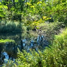 Luppeaue bei Horburg und Zweimen