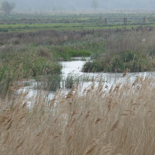Castle Marshes