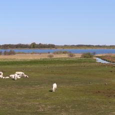 Åsums ängar och Åsumallet