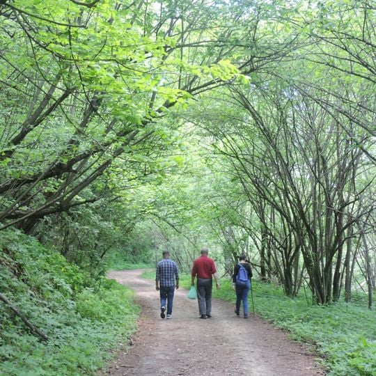 Parco naturale di Rocchetta Tanaro