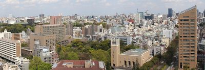 Panoramic View 1