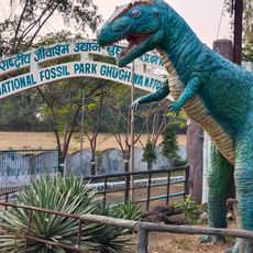 Ghughua Fossil Park