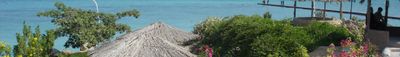 Panoramic View 1
