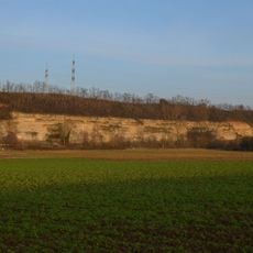 Prallhang des Neckars bei Lauffen