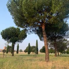 Parco archeologico di Centocelle
