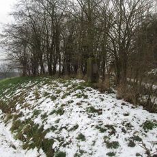 Kříž u Čečovic u rozcestí