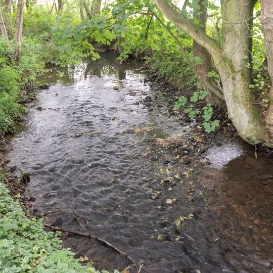 NSG Schmittwassertal