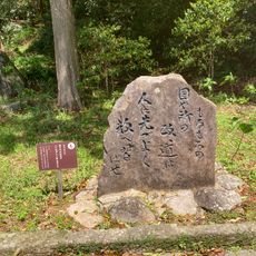 も