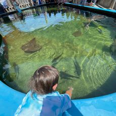 Alabama Aquarium at the Dauphin Island Sea Lab