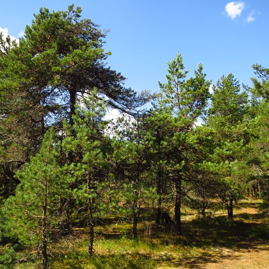 Liiva-Putla-natuurreservaat