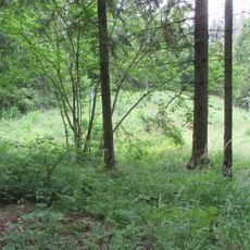 Puiškalns hillfort