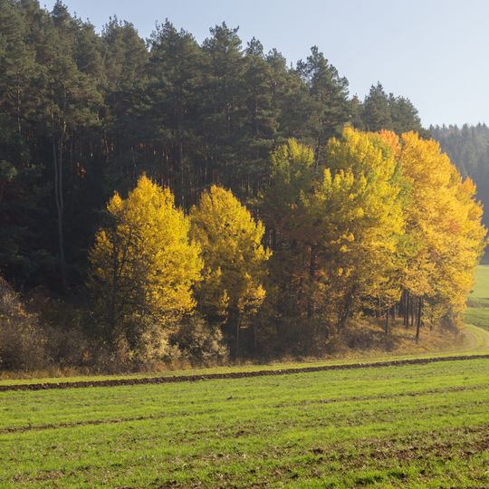 Högenbachtal, Lichtenegg, Beselberg mit westlichem Birgland