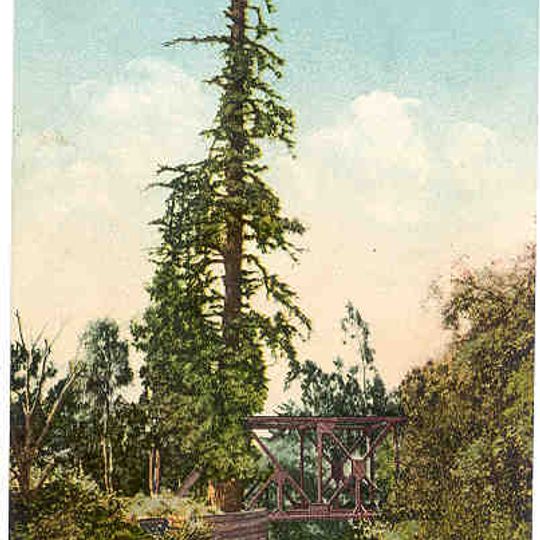 San Francisquito Creek