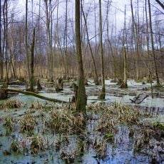 Lauffener Neckarschlinge