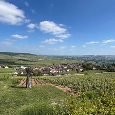Viewpoint of Hautvillers