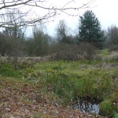 Studánky u Cerhovic
