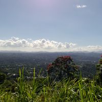 Las Piedras (Portoryko)