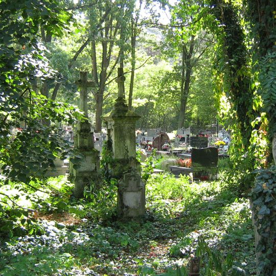Cemetery in Racławice, Subcarpathian voivodeship