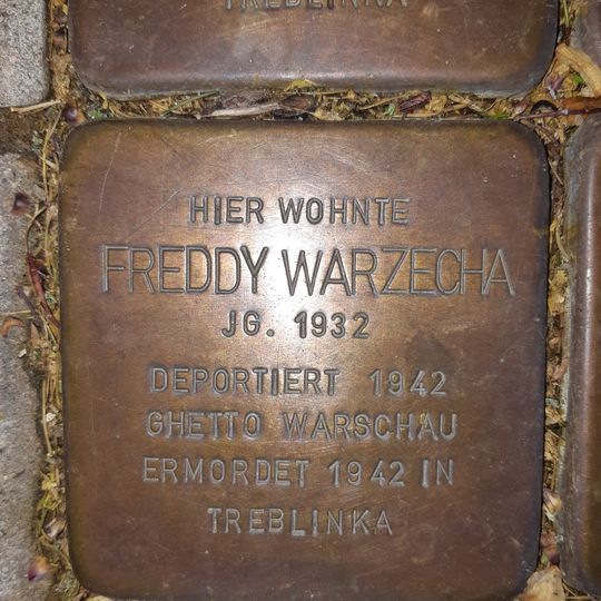 Stolperstein en memoria de Fredy Warzecha