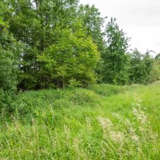 Bachtal bei Burwelle