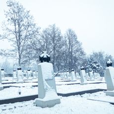 World War I Cemetery nr 202 in Tarnów