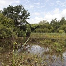 Réserve naturelle régionale des marais de Cambrin, Annequin, Cuinchy et Festubert