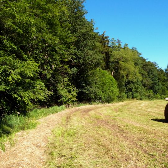 Jagstaltwasser zwischen Kalkhöfe u.Schweighausen